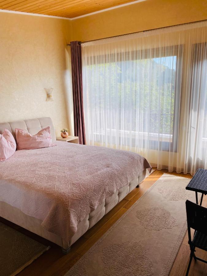 Vila Tarnita Cluj-Napoca Exteriör bild