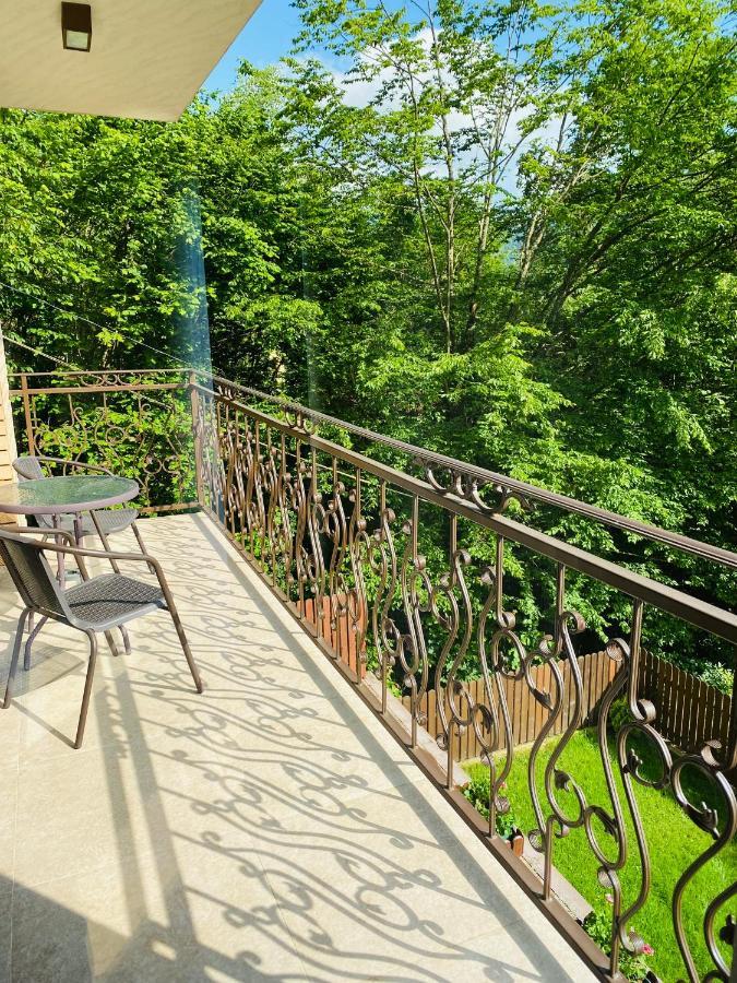 Vila Tarnita Cluj-Napoca Exteriör bild